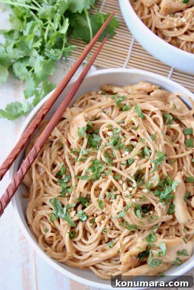 overhead image of noodles in bowl with chopsticks on the side