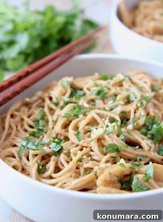 noodles in bowl topped with chopped fresh cilantro