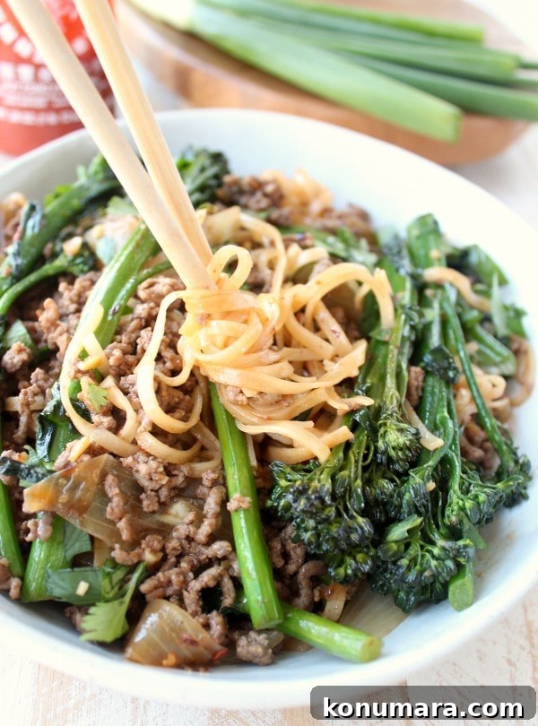Beef and Broccoli Stir Fry Recipe