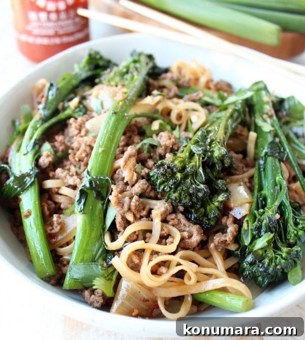 Chinese Beef and Broccoli Stir Fry