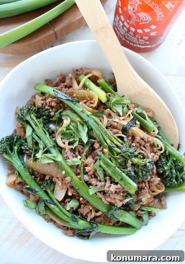 Beef and Broccoli Stir Fry Recipe
