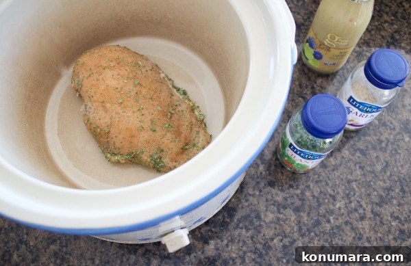 Shredded Slow Cooker Chicken in Sauce