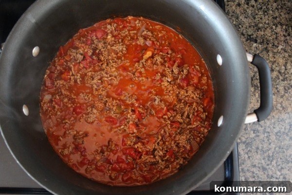 ground beef in tomato sauce in a large pot