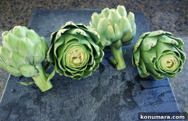 Artichoke Toast Recipe
