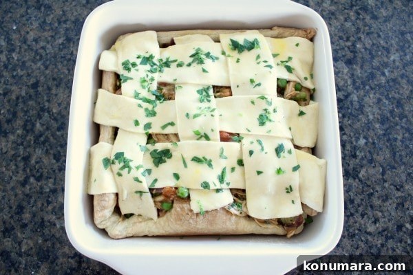 Savory Cajun Chicken Pot Pie Recipe 7 Cajun Chicken Pot Pie Recipe