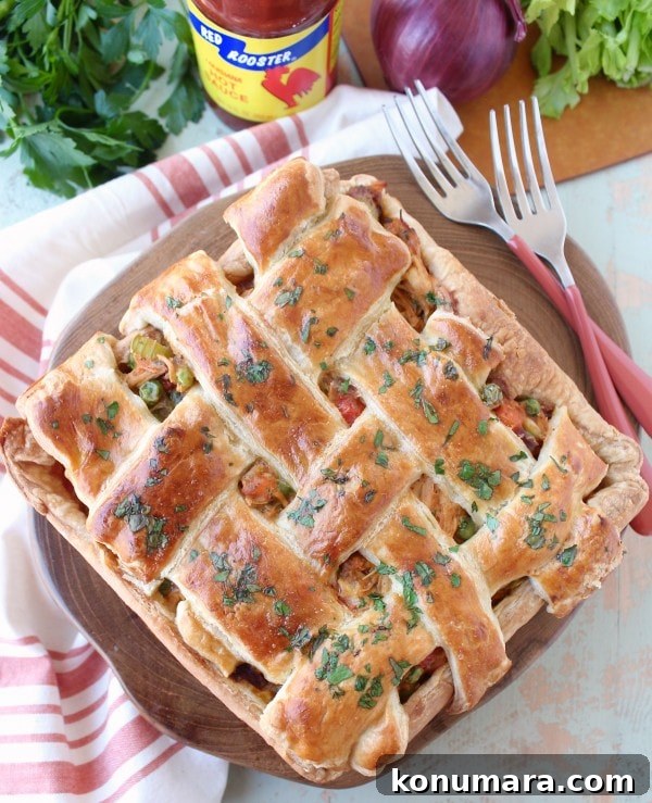 Savory Cajun Chicken Pot Pie Recipe 8 Cajun Chicken Pot Pie Recipe