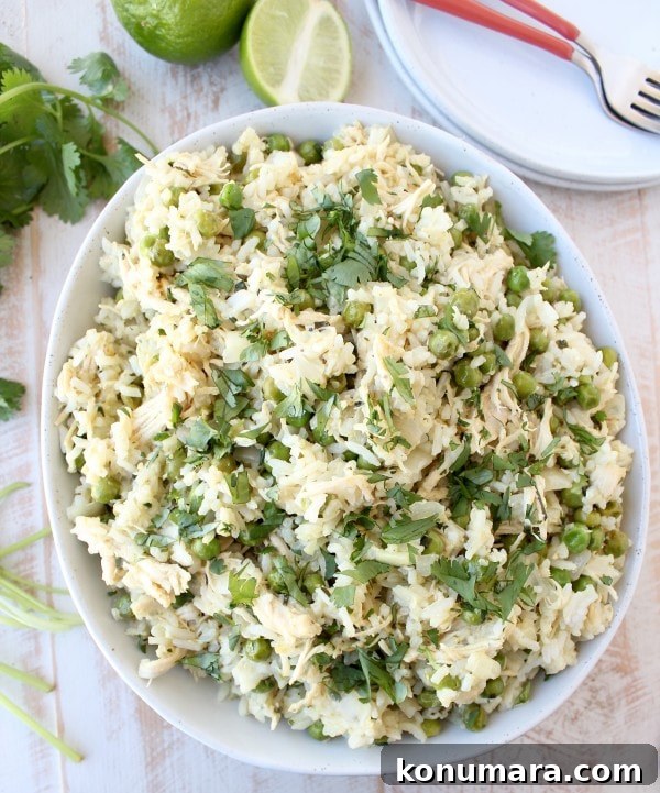 Green Curry Chicken Fried Rice Recipe