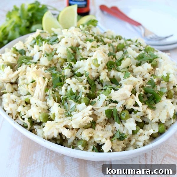 Green Curry Chicken Fried Rice Recipe