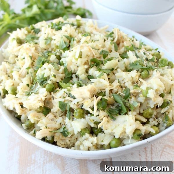 Green Curry Chicken Fried Rice Recipe