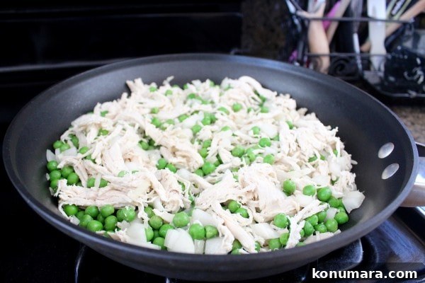 Green Curry Chicken Fried Rice Recipe