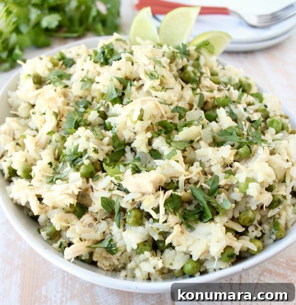 Green Curry Chicken Fried Rice