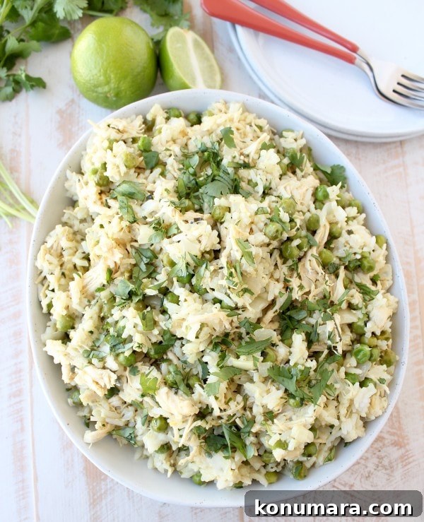 Green Curry Chicken Fried Rice Recipe
