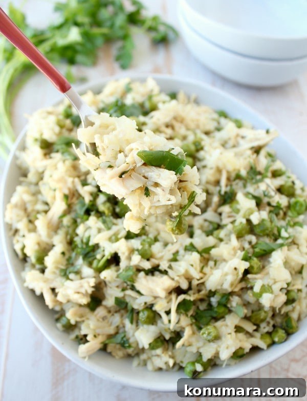 Green Curry Chicken Fried Rice Recipe