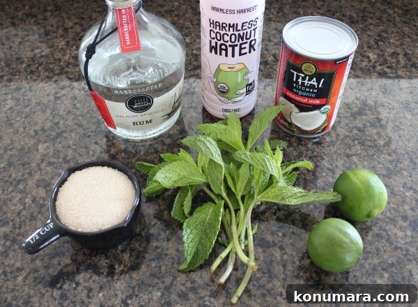 Frozen Coconut Mojito Ingredients
