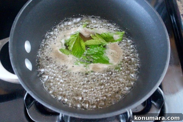 Frozen Coconut Mojito Recipe