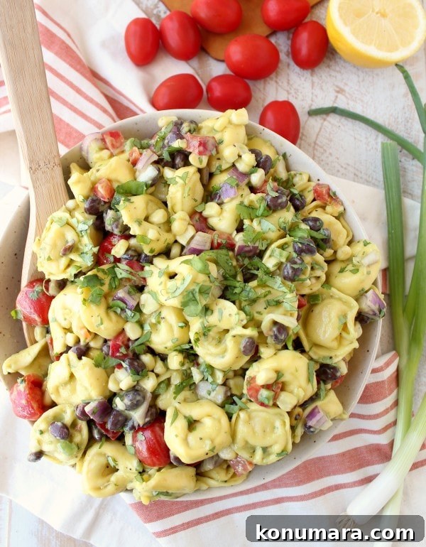 Zesty Mexican Tortellini Pasta Salad with Cilantro Lime 2 Mexican Tortellini Pasta Salad Recipe