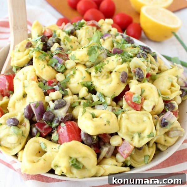 Zesty Mexican Tortellini Pasta Salad with Cilantro Lime 3 Mexican Tortellini Pasta Salad Recipe