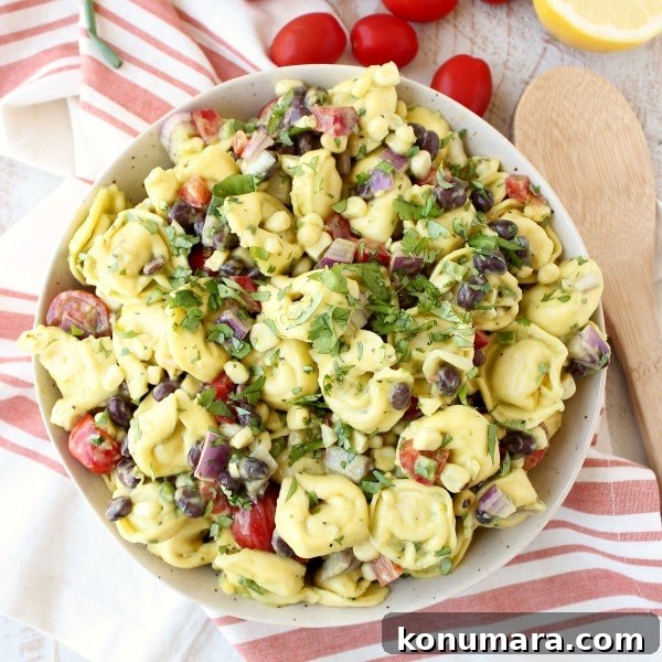 Zesty Mexican Tortellini Pasta Salad with Cilantro Lime 4 Mexican Tortellini Pasta Salad Recipe