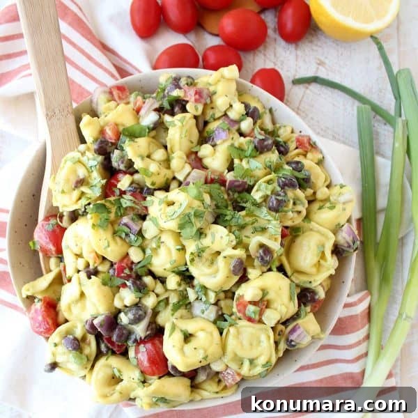 Zesty Mexican Tortellini Pasta Salad with Cilantro Lime 5 Vegetarian Mexican Tortellini Salad Recipe