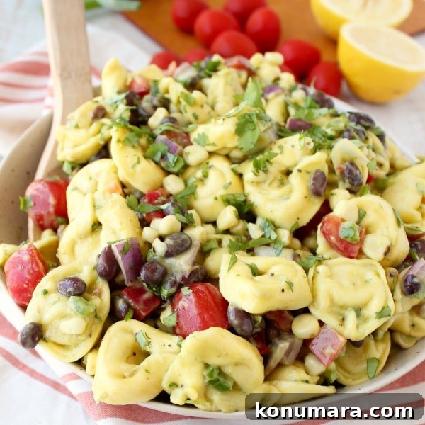 Zesty Mexican Tortellini Pasta Salad with Cilantro Lime 6 Vegetarian Mexican Tortellini Pasta Salad Recipe