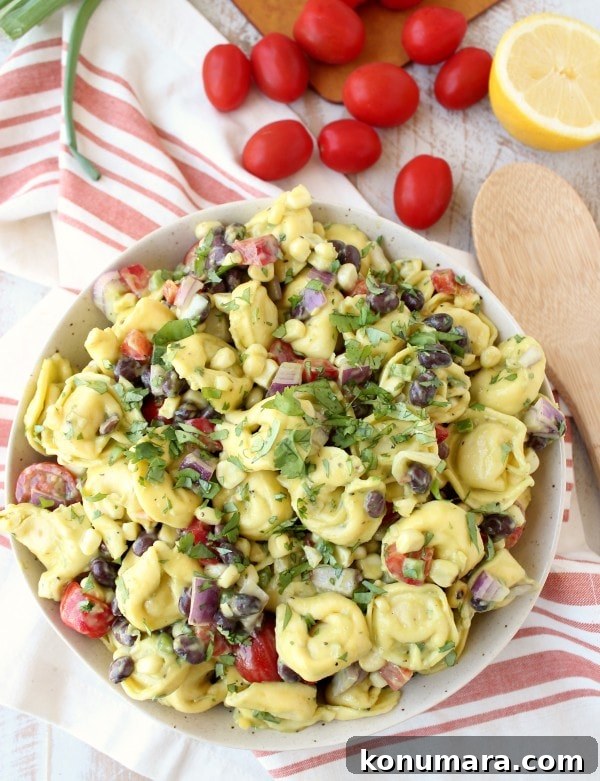 Zesty Mexican Tortellini Pasta Salad with Cilantro Lime 7 Vegetarian Mexican Tortellini Pasta Salad Recipe