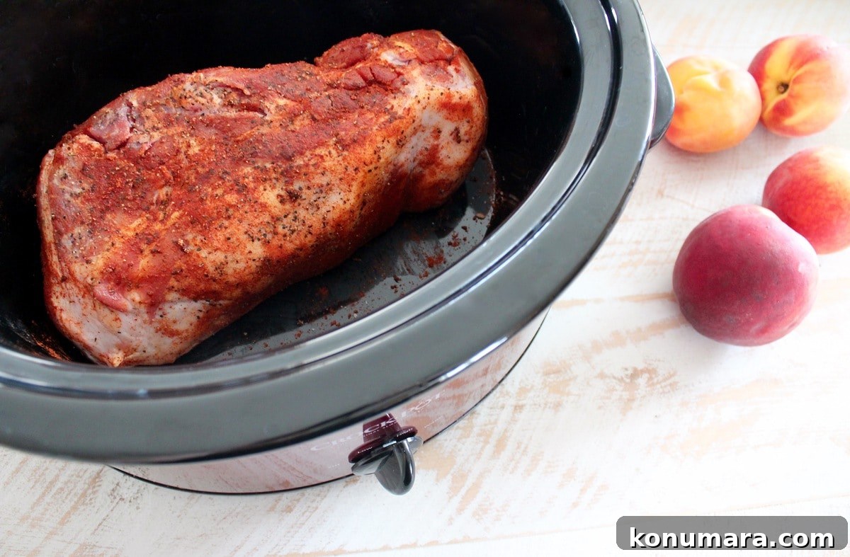Slow-Cooker Peach BBQ Pulled Pork Sandwich Recipe 5 Slow Cooker Peach BBQ Pulled Pork Sandwich Recipe