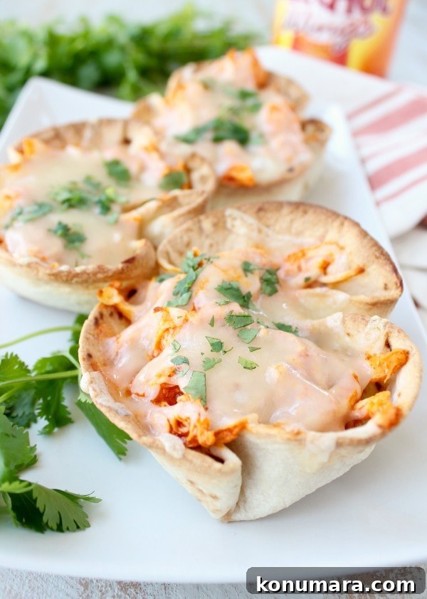 How to Make Buffalo Chicken Dip Taco Cups 2 Buffalo Chicken Dip Taco Cups