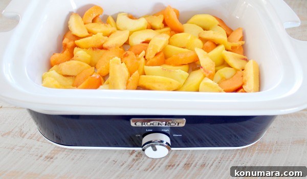 sliced peaches, nectarines and apricots in a Crock Pot