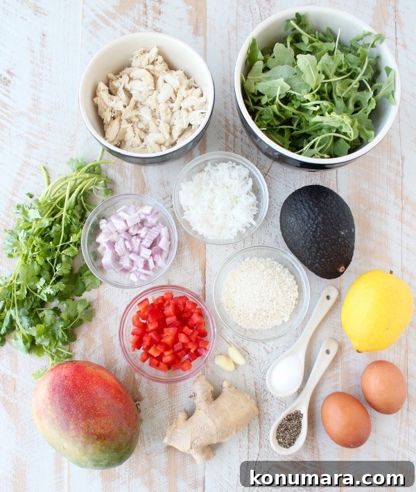Coconut Crusted Crab Cakes Recipe with Mango Arugula Salad 5 Coconut Crab Cakes Ingredients