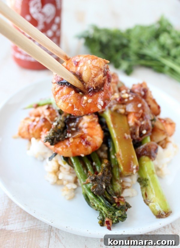 General Tso's Shrimp and Broccoli Stir-Fry 10 General Tso's Broccoli & Shrimp Recipe