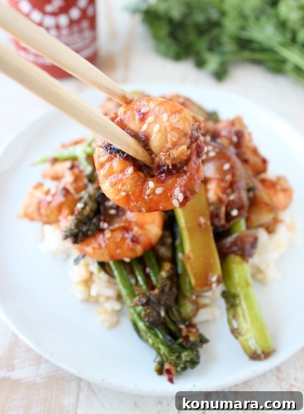 General Tso's Shrimp and Broccoli Stir-Fry 4 General Tso's Broccoli & Shrimp Recipe