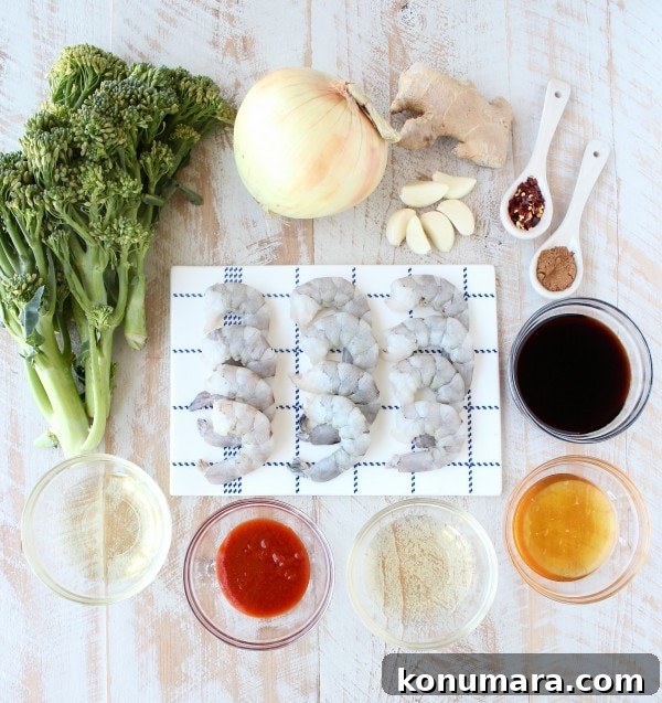 General Tso's Shrimp and Broccoli Stir-Fry 5 General Tso's Broccoli & Shrimp Recipe Ingredients