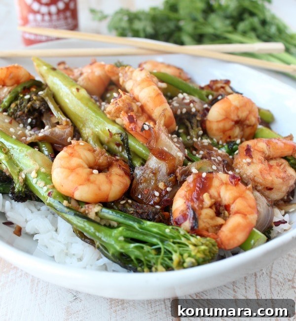 General Tso's Shrimp and Broccoli Stir-Fry 9 General Tso's Broccoli & Shrimp Recipe