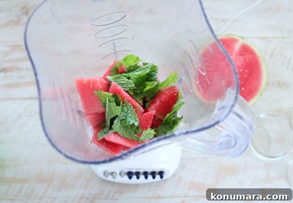 Watermelon Lime Sherbet Float Recipe