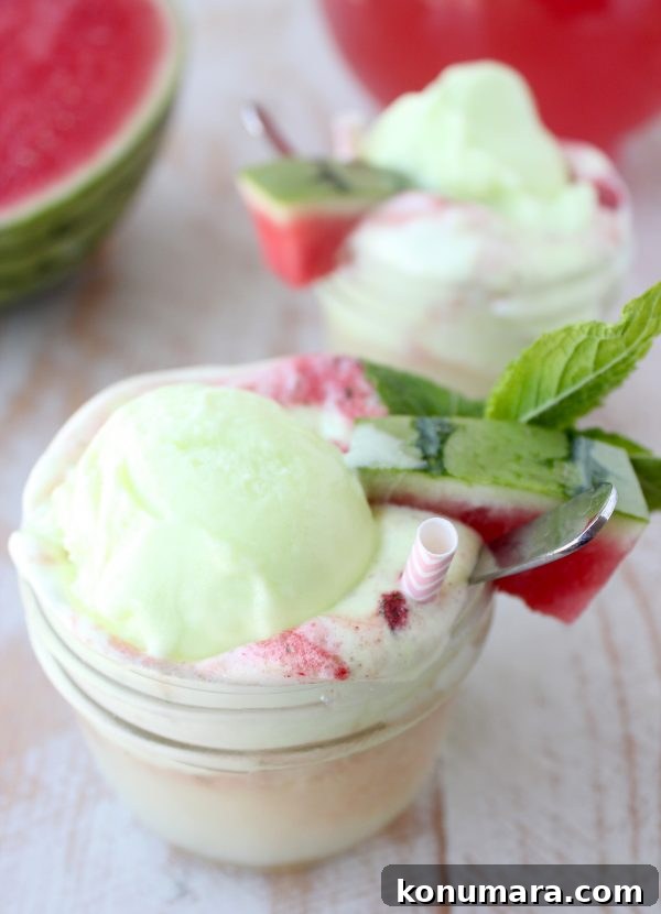 Watermelon Lime Sherbet Float Recipe