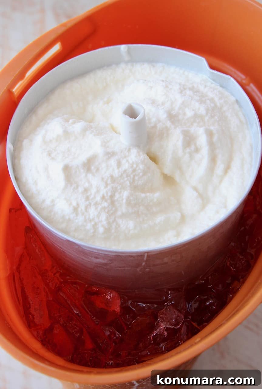 Classic Old-Fashioned Vanilla Ice Cream 2 vanilla ice cream in ice cream machine, surrounded by ice cubes