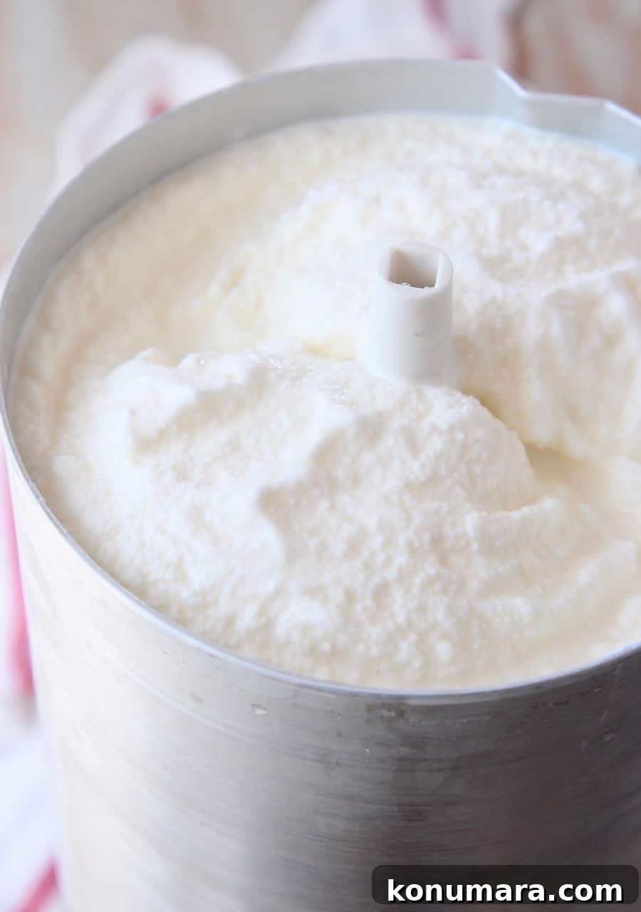 Classic Old-Fashioned Vanilla Ice Cream 8 vanilla ice cream in the base of an ice cream machine