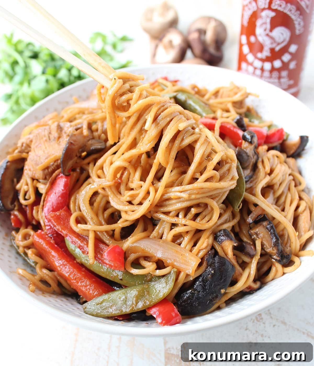 Chicken Lo Mein Recipe: Quick Weeknight Stir Fry 7 noodles lifted out of a bowl of chicken lo mein with chopsticks