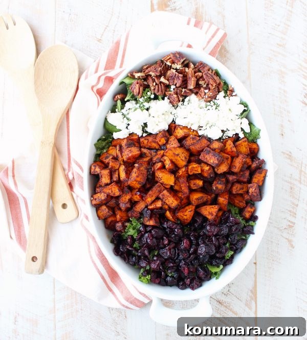 This Chili Roasted Sweet Potato & Cranberry Salad recipe combines sweet, savory & tart ingredients to make the most flavorful vegetarian salad ever!