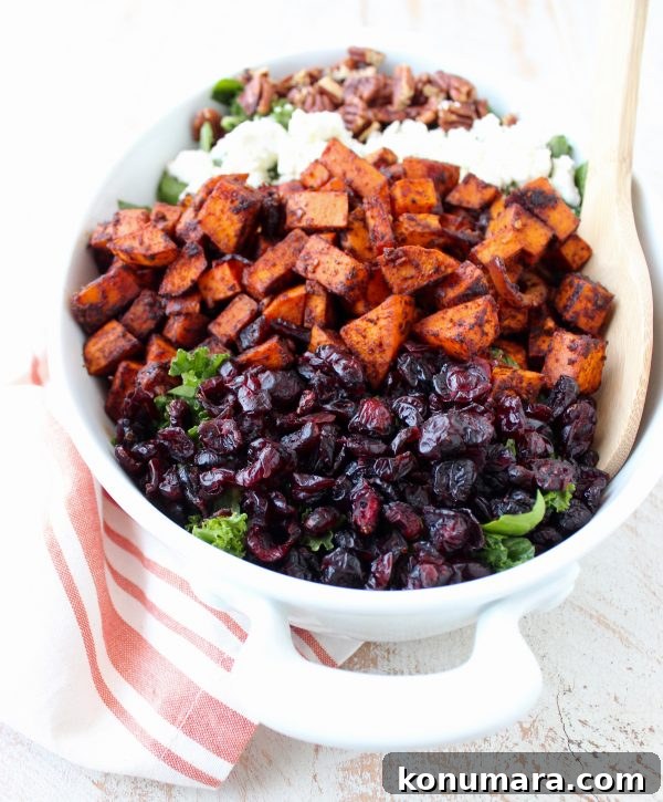 This Chili Roasted Sweet Potato & Cranberry Salad recipe combines sweet, savory & tart ingredients to make the most flavorful vegetarian salad ever!