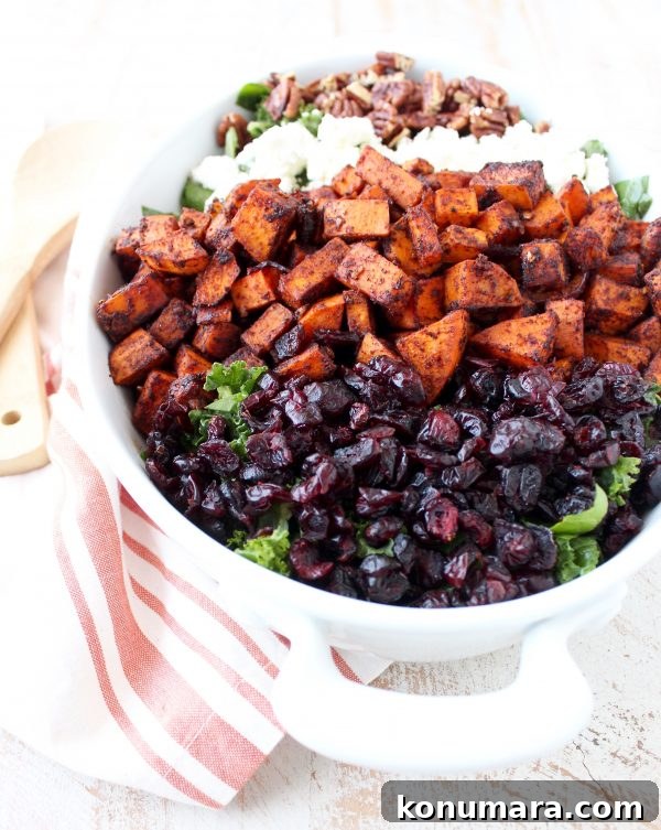 This Chili Roasted Sweet Potato & Cranberry Salad recipe combines sweet, savory & tart ingredients to make the most flavorful vegetarian salad ever!