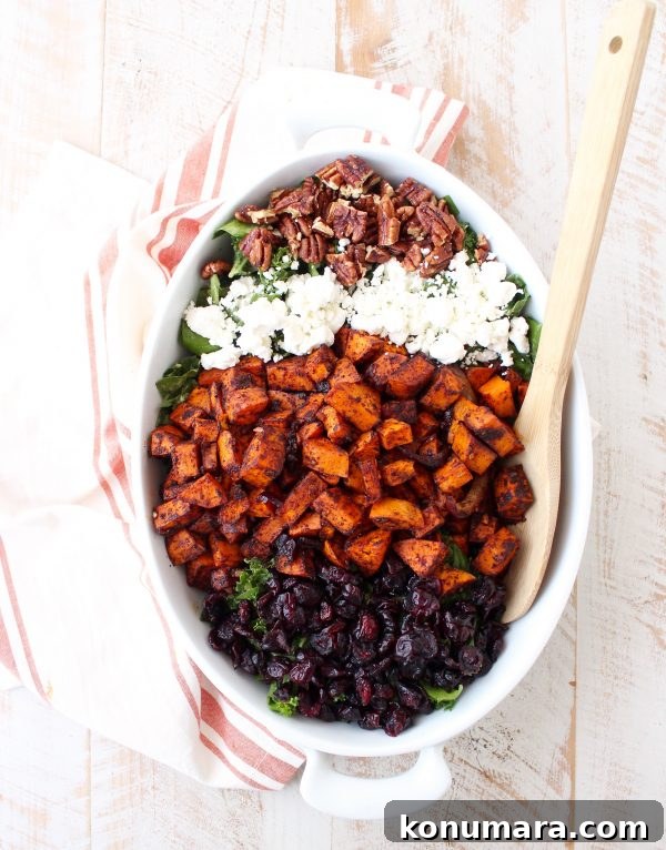 This Chili Roasted Sweet Potato & Cranberry Salad recipe combines sweet, savory & tart ingredients to make the most flavorful vegetarian salad ever!