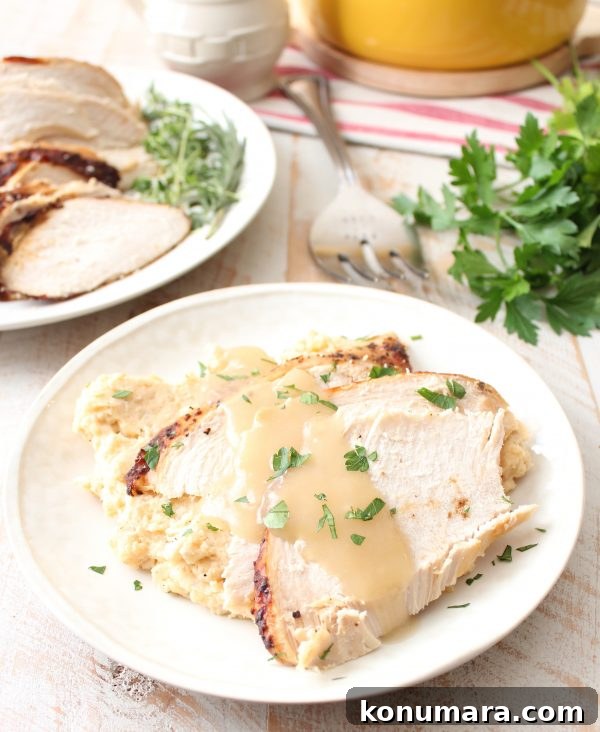 Oven-Roasted Cajun Turkey with Creamy Cajun Mashed Potatoes 8 Roasted Cajun mashed potatoes plated