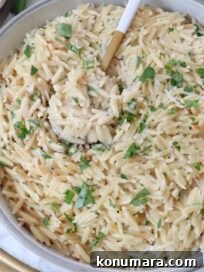 Creamy Garlic Parmesan Orzo