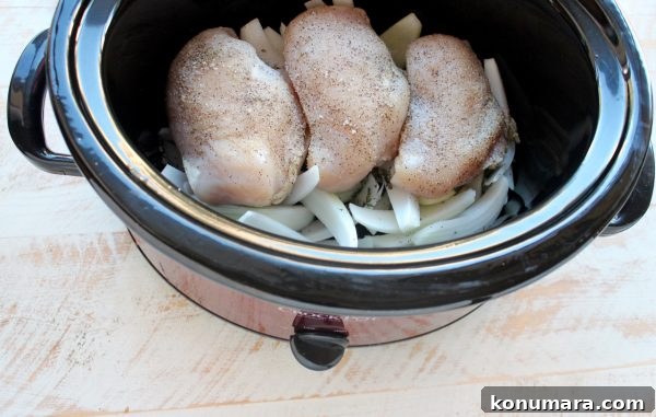 Slow Cooker Chicken Ragu Recipe with Tomatoes and Herbs 5 Seasoned chicken on top of sliced onions in a slow cooker.