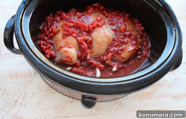 Slow Cooker Chicken Ragu Recipe with Tomatoes and Herbs 6 Raw chicken covered in red sauce in a slow cooker.