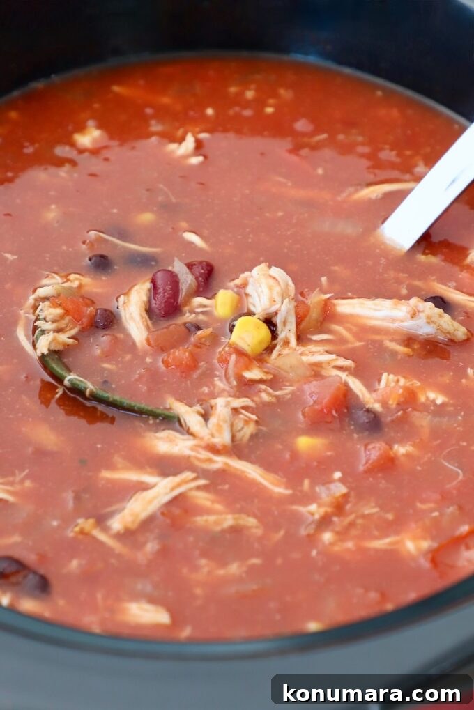 Creamy Slow Cooker Chicken Enchilada Soup 6 chicken tortilla soup in crock pot with a ladle