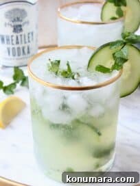 Cucumber Mint Vodka Cocktail