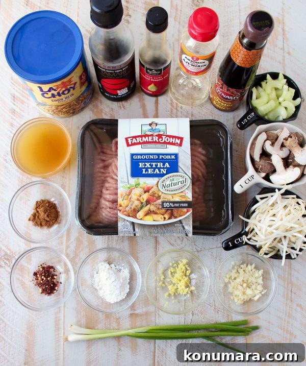 This easy Chinese Pork Chop Suey recipe combines pork, veggies & a delicious Asian sauce, served over white rice, topped with crispy chow mein noodles!
