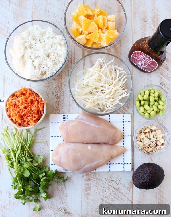 Flavorful Asian Chicken Rice Bowls for Quick Weeknight Meals 4 Grilled sesame ginger chicken sliced atop rice and vegetables